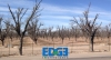 EDGE2EDGE 6.0